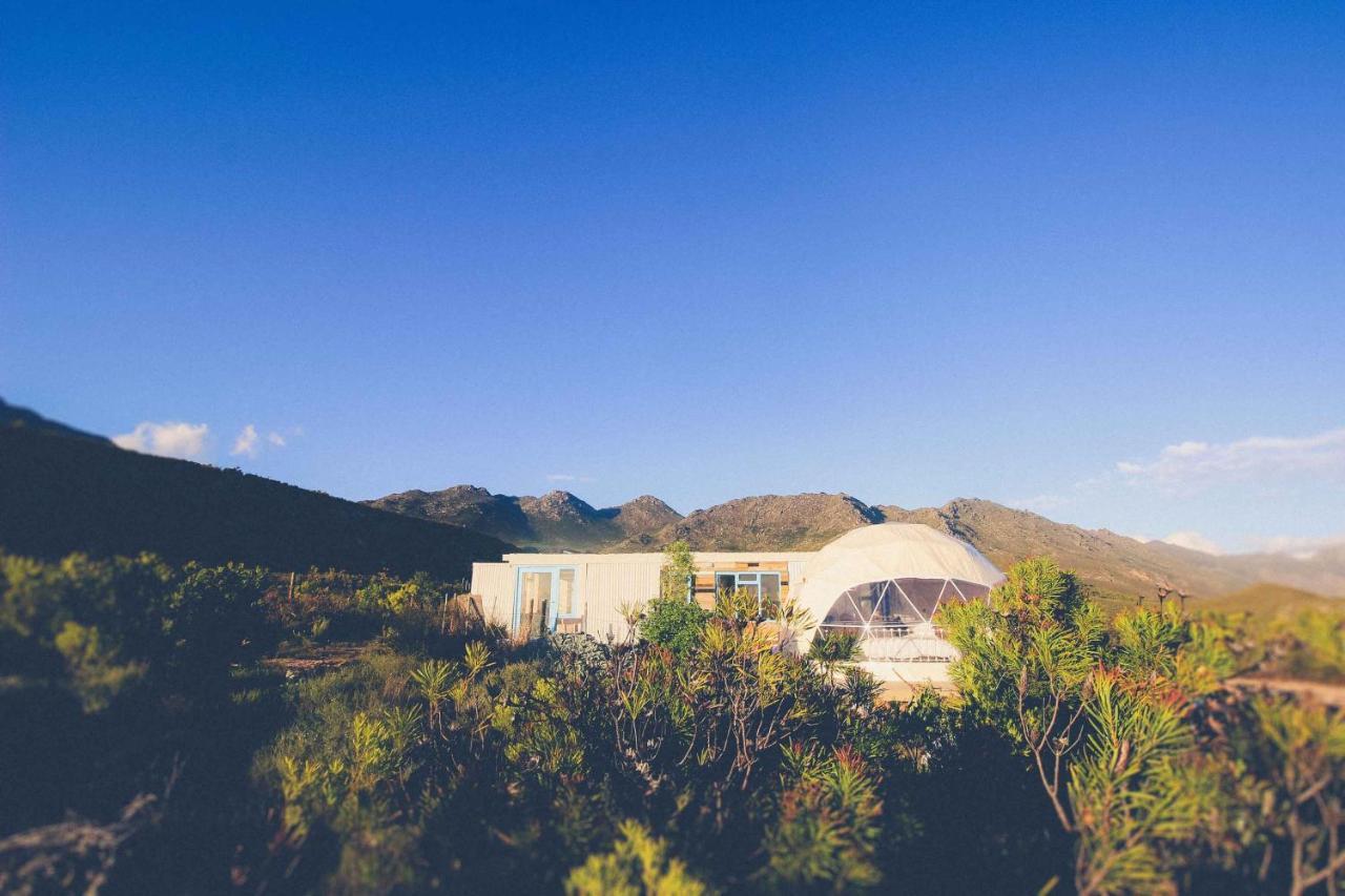 Starry Starry Night - Route 62 Villa Montagu Buitenkant foto