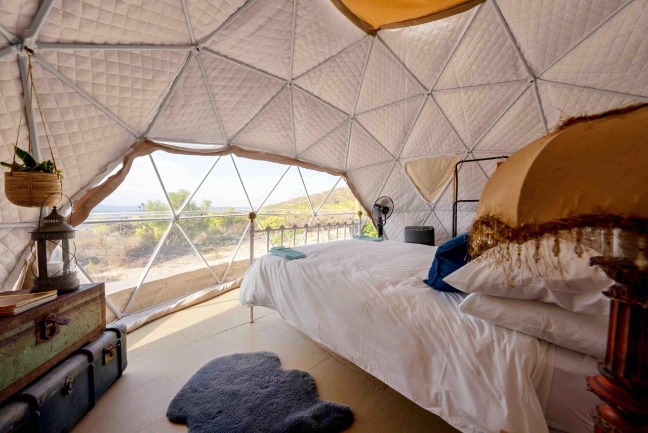 Starry Starry Night - Route 62 Villa Montagu Buitenkant foto